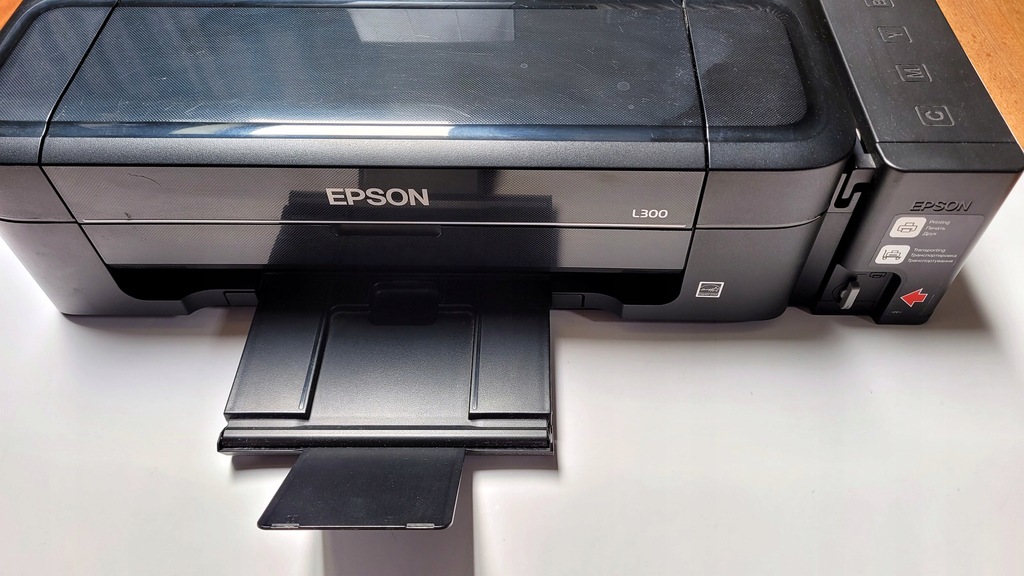 Epson L300