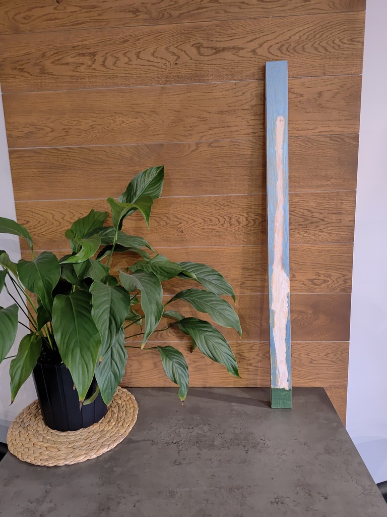 Muminki Hatifnat obraz na desce 100 cm