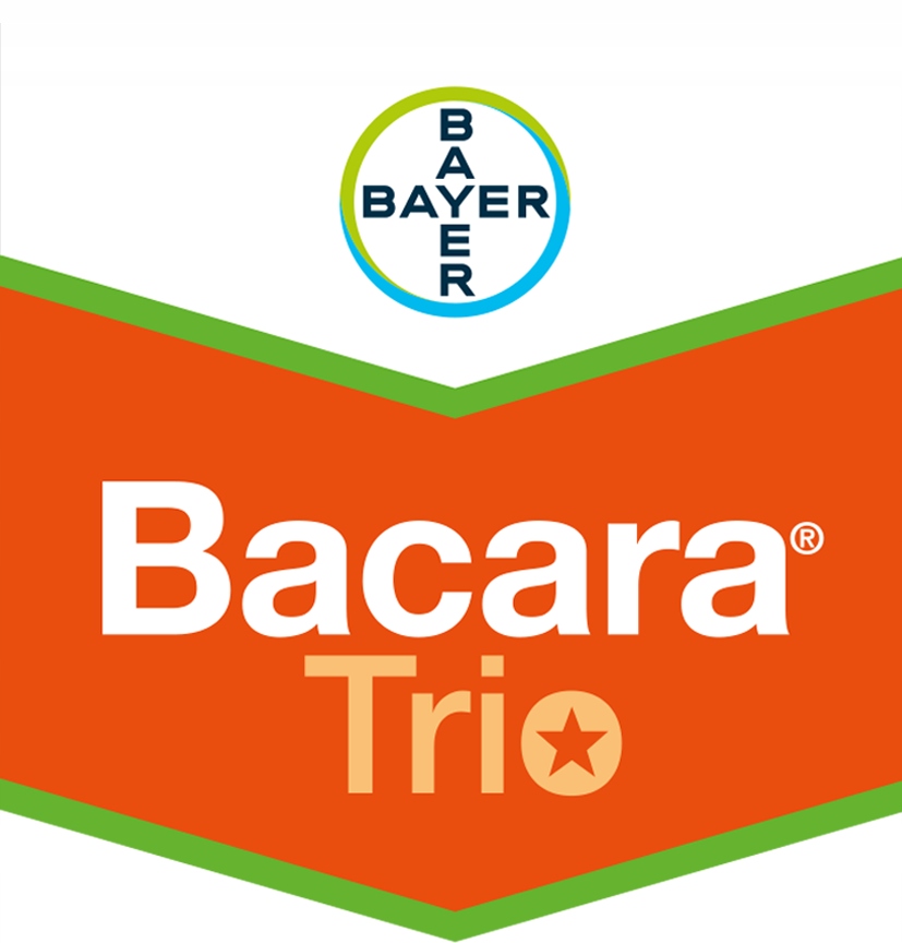 Bacara Trio 516 SC 5l herbicyd zboża ozime