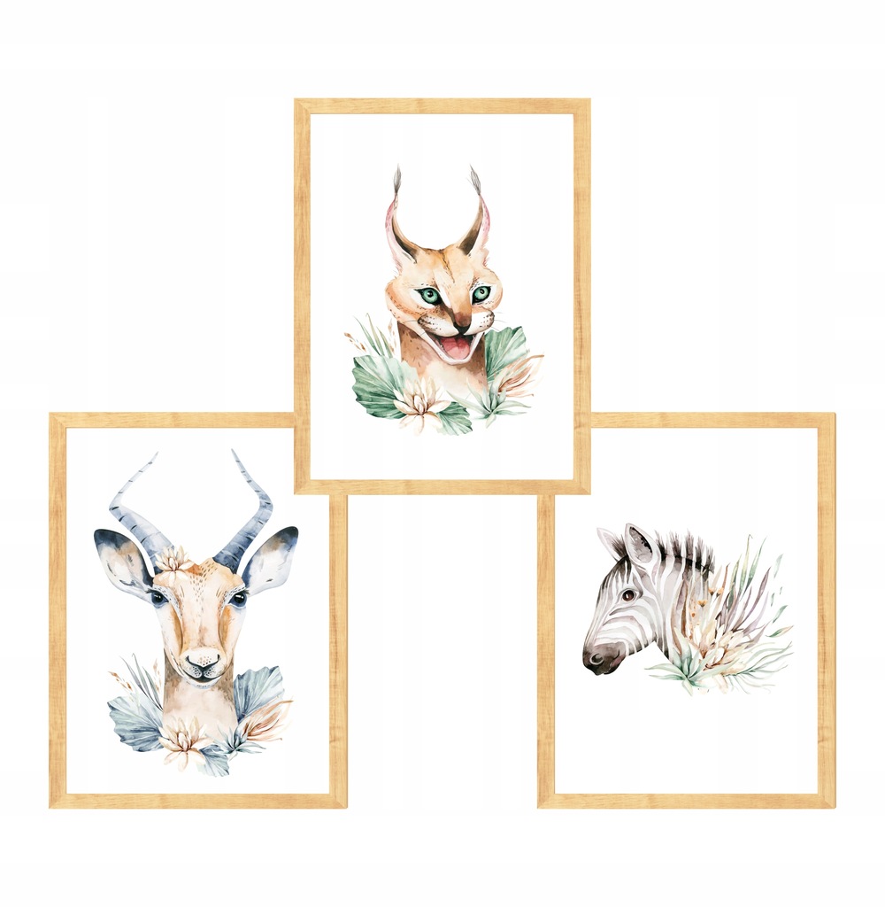 ZESTAW 3 OBRAZKÓW ZEBRA,ANTYLOPA,KARAKAL