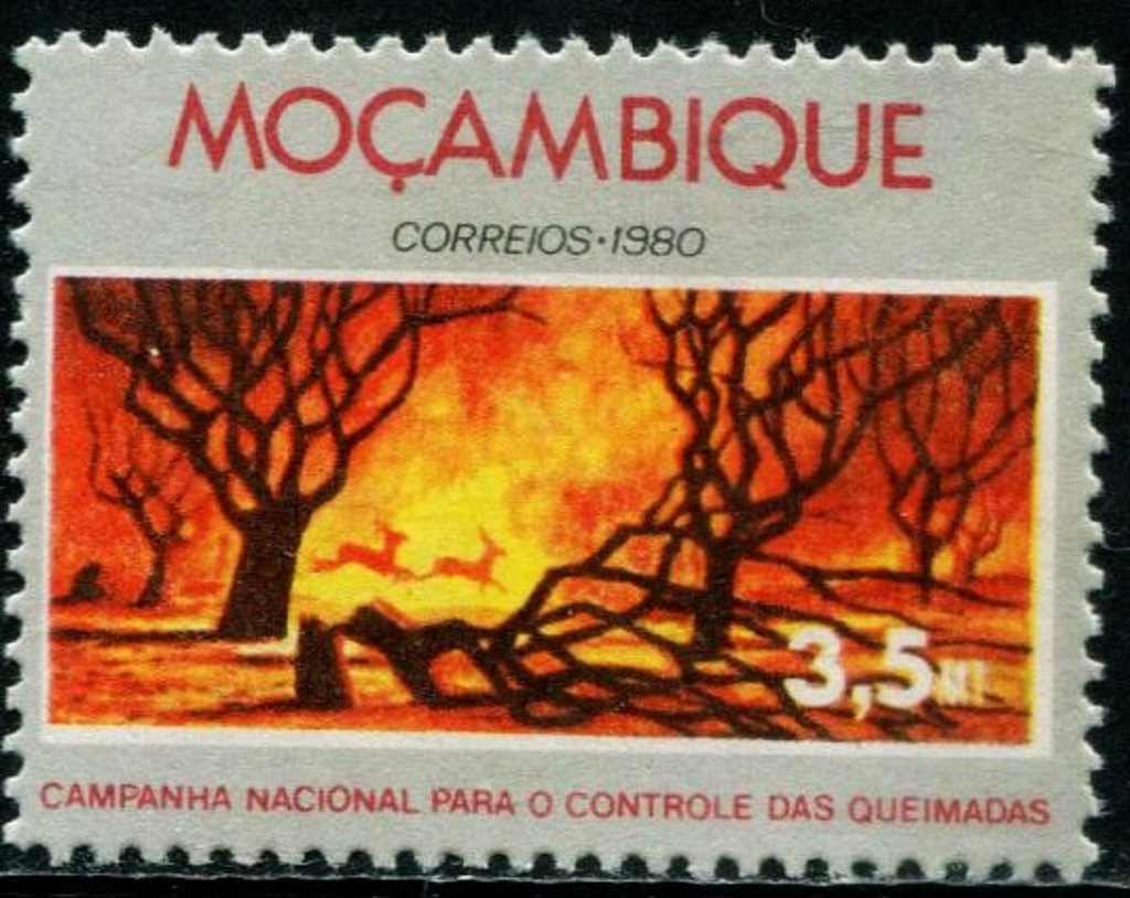 Mozambik 1980 - pożarnictwo - straż poożarna - las