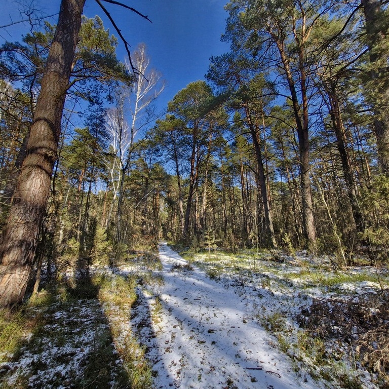 Działka, Osiedle Wilga, 2520 m²