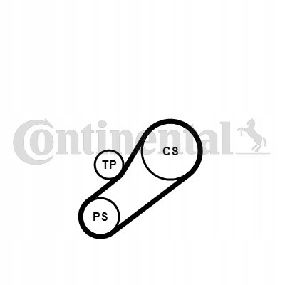 Continental 4PK735K1 Zestaw paska klinowego wielorowkowego