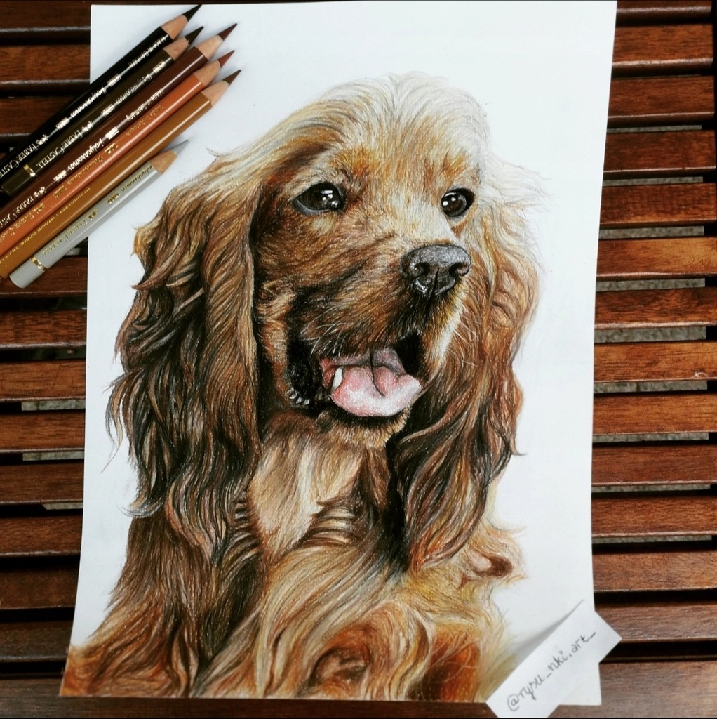 Wykonam rysunek na zamówienie