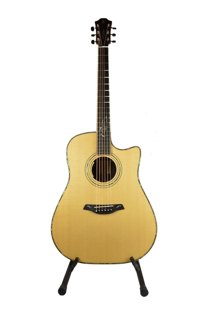 Furch D25-SR CUT LR Baggs Gitara elektroakustyczna