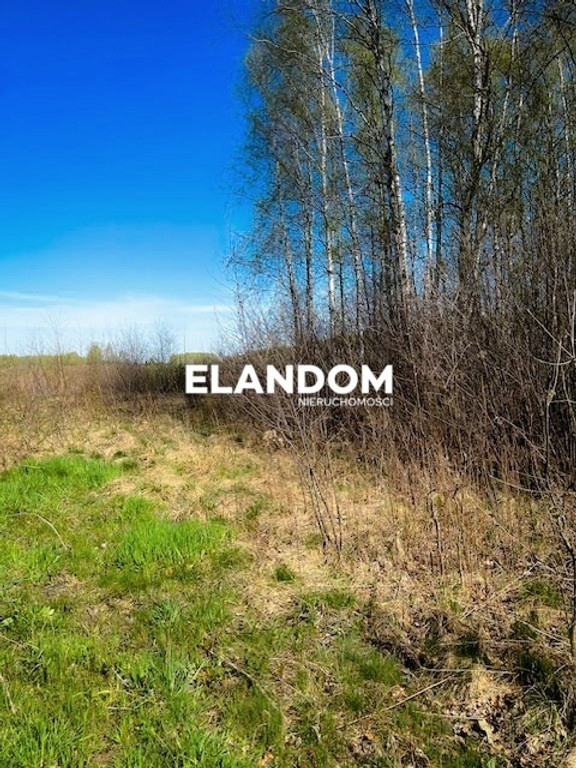 Działka, Anielew, Mińsk Mazowiecki, Miński, 14243 m²