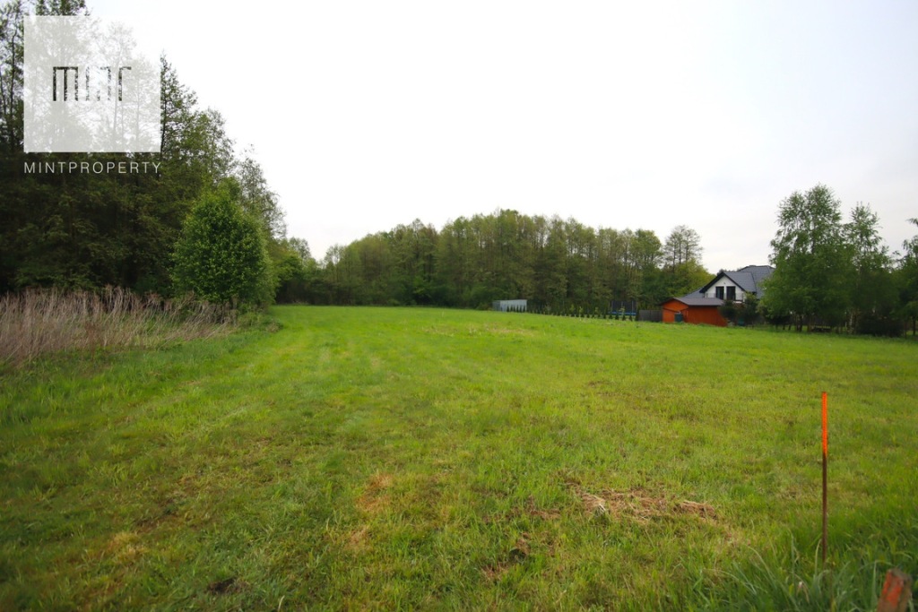 Działka, Głowaczowa, Czarna (gm.), 972 m²