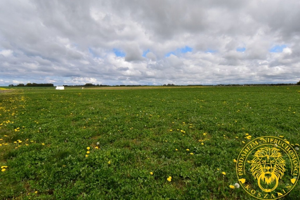 Działka, Śmiechów, Będzino (gm.), 3000 m²