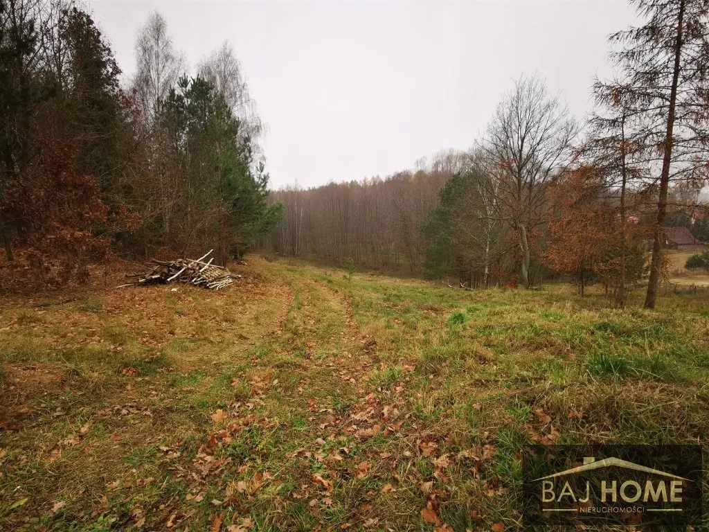 Działka, Zbiczno, Zbiczno (gm.), 6228 m²