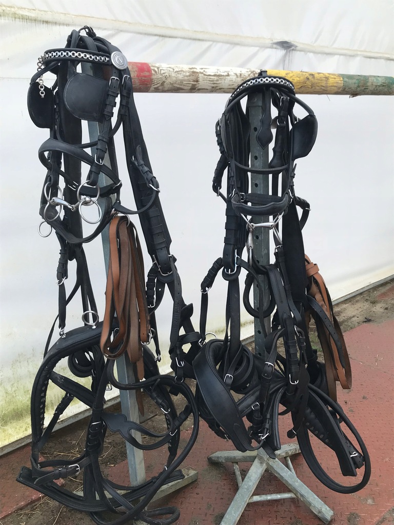 Ozdobna Uprząż Końska Do Jazdy Wierzchem