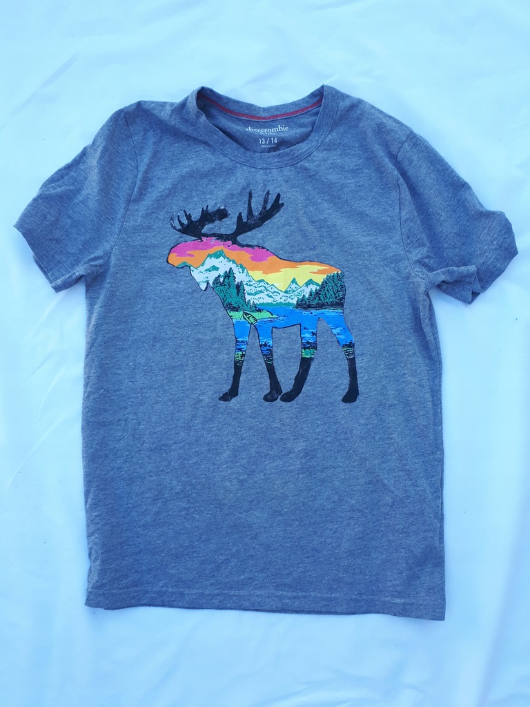 Abercrombie Kids* szary T-shirt* r.158-164