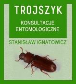 Baner Reklamowy na stronie www.trojszyk.com 1 ROK