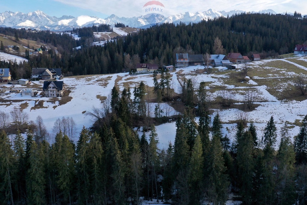 Działka, Leśnica, 3665 m²