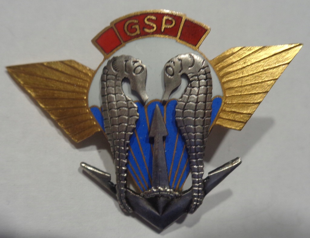 GRUPA SPECJALNA PŁETWONURKÓW GSP-FORMOZA GDYNIA