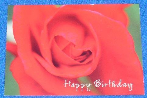 Pocztówka - Róża urodzinowa