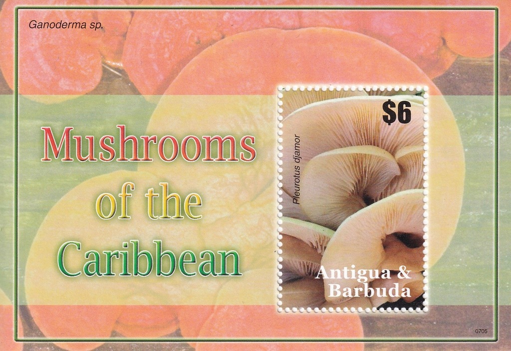 Antigua ** 2007 cena 6,50 zł kat.4€ - grzyby