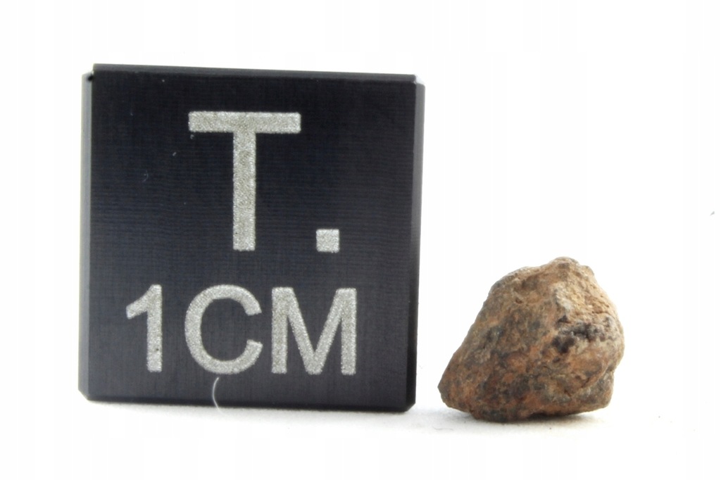 Meteoryt NWA 5890, Achondryt prymitywny, Winonait, Masa całkowita 71,2 gram