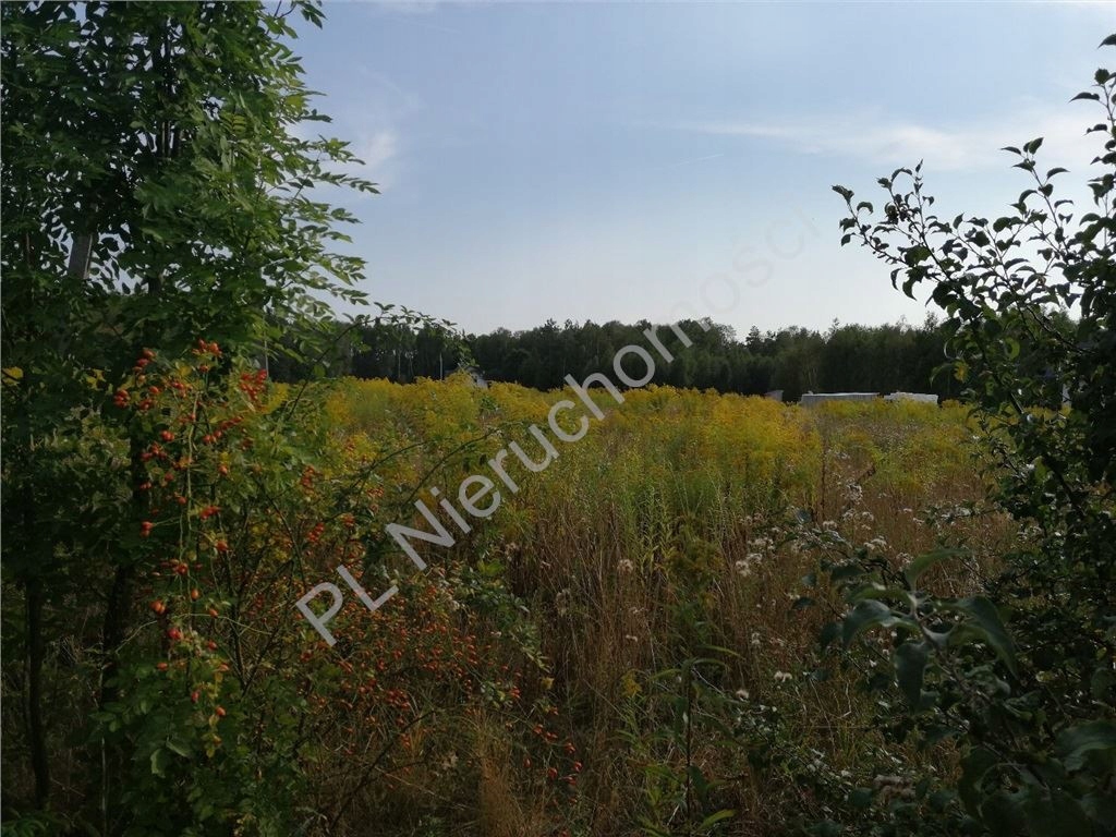 Działka, Mlęcin, Dobre (gm.), 1101 m²