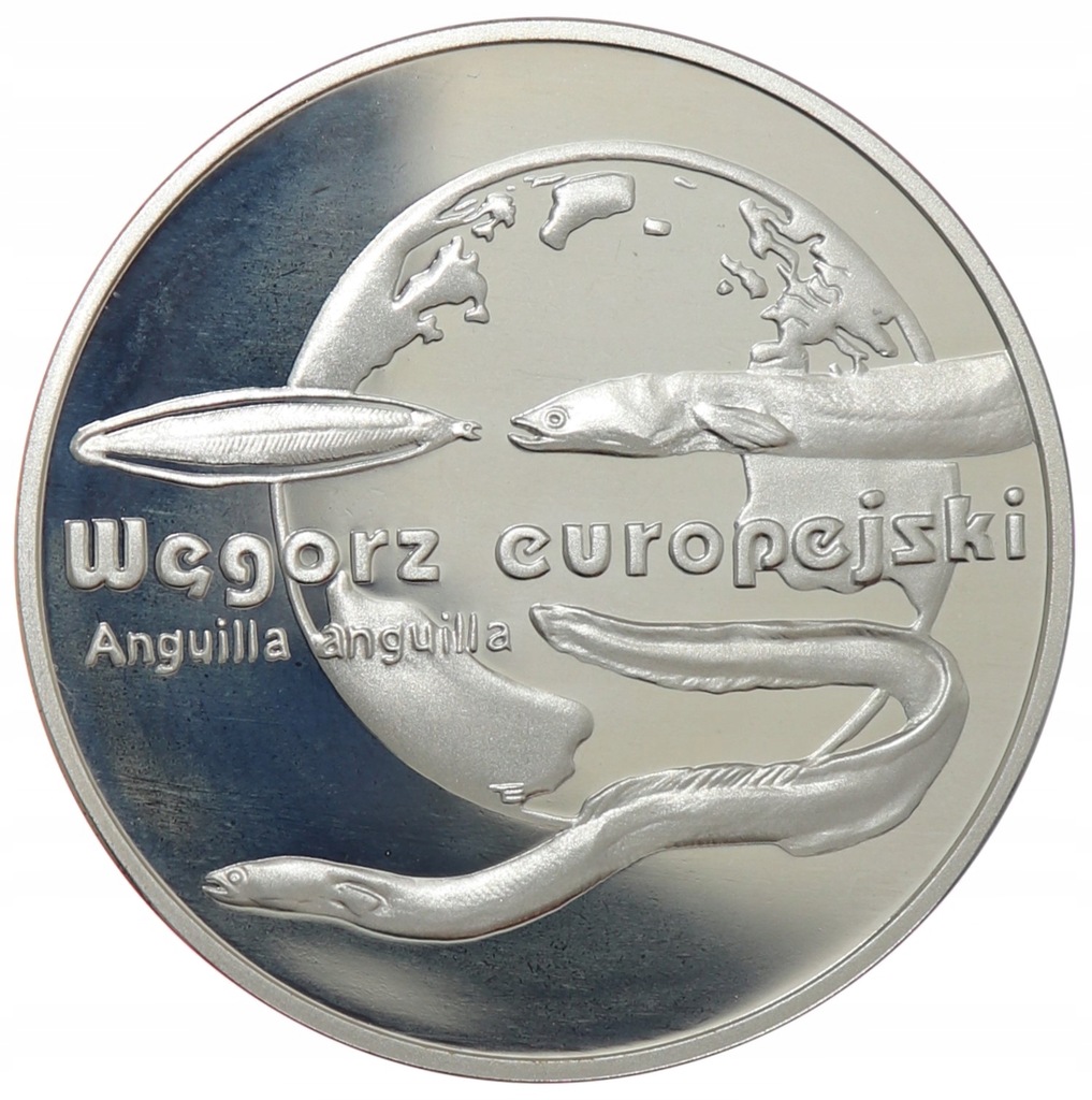 Moneta 20 zł - Węgorz Europejski - 2003 rok