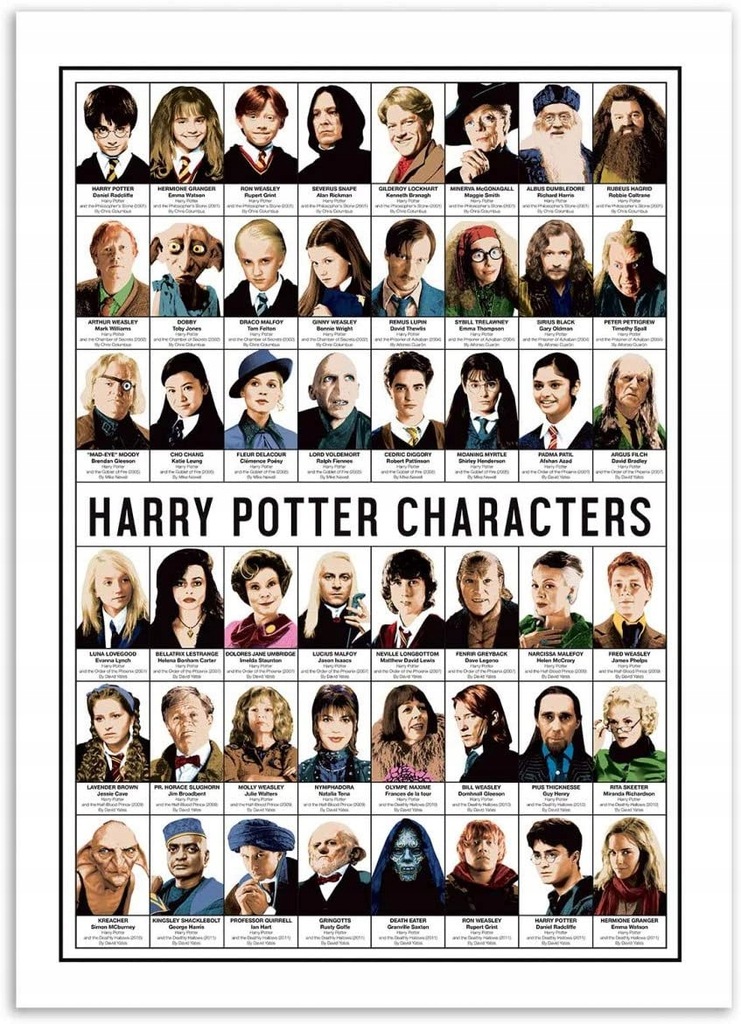 Plakat Postacie Harry Potter 50 x 70 cm H932