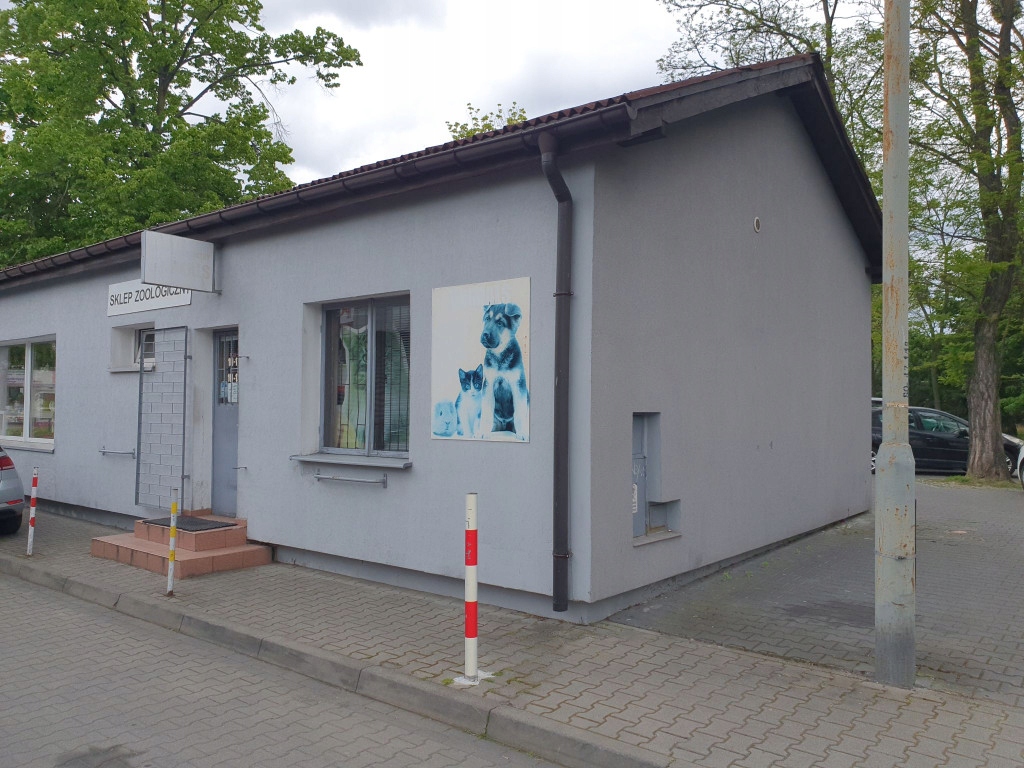 Lokal handlowy, Poznań, Winogrady, 38 m²