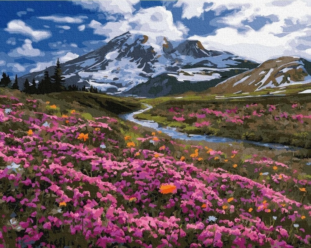 Malowanie po numerach Wiosna w Górach 40x50 Płótno