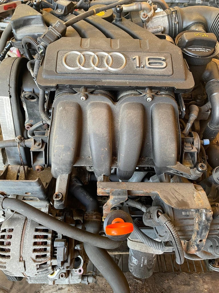 Audi A3 8P 1.6 MPI Silnik kompletny BGU 12516107714 oficjalne archiwum Allegro
