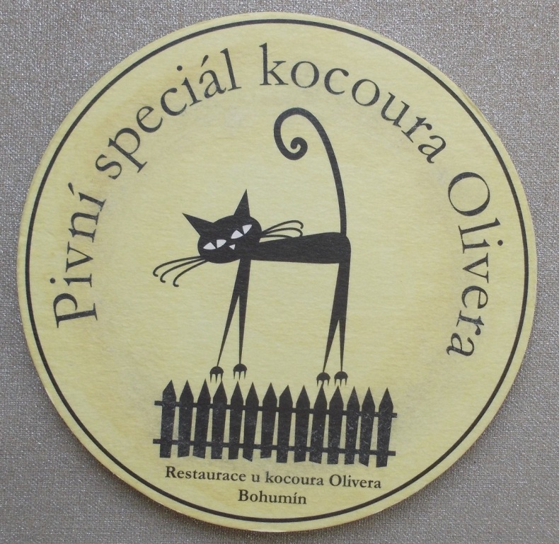 Pivni special kocoura Olivera