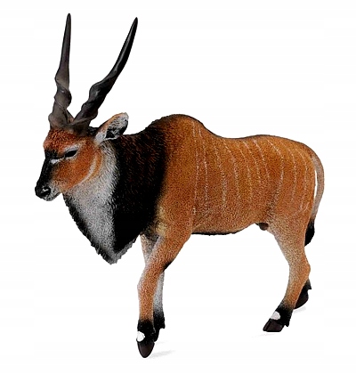 ANTYLOPA WIELKA ELAND XL