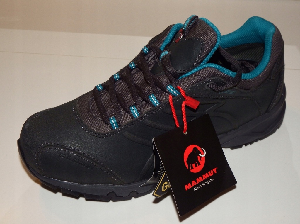MAMMUT Summit Low GTX r 39 1/3 skóra 25,5 GORE-TEX