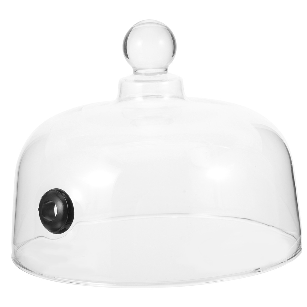 Hood Round Cake Stand Infuser Cloche Bell