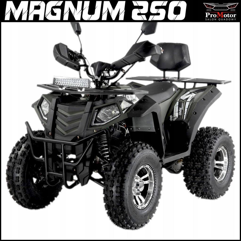 Купить MAGNUM POLARISS 250cc HAK, самый мощный ProMotor: отзывы, фото, характеристики в интерне-магазине Aredi.ru