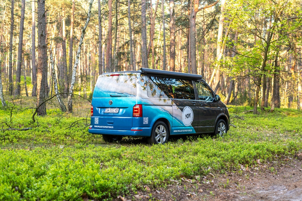 Купить Аренда автобуса VW California с функцией сна: отзывы, фото, характеристики в интерне-магазине Aredi.ru