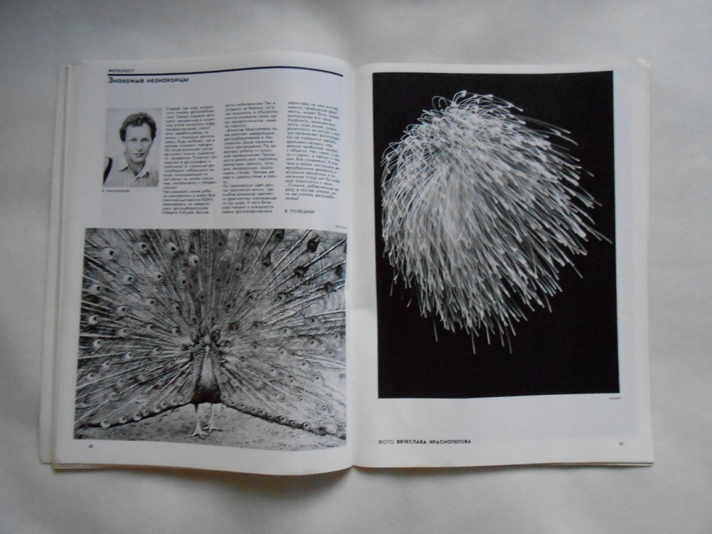 Купить (10) Советский фотожурнал 1988/9: отзывы, фото, характеристики в интерне-магазине Aredi.ru