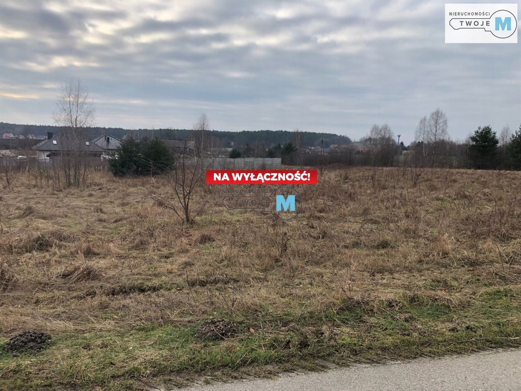 Działka, Łopuszno, 3002 m²