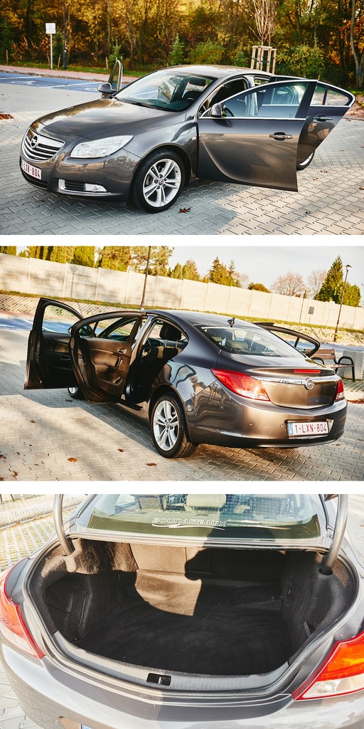 Купить OPEL INSIGNIA 2.0 CDTI 130KM ALU18 PDC NAVI: отзывы, фото, характеристики в интерне-магазине Aredi.ru