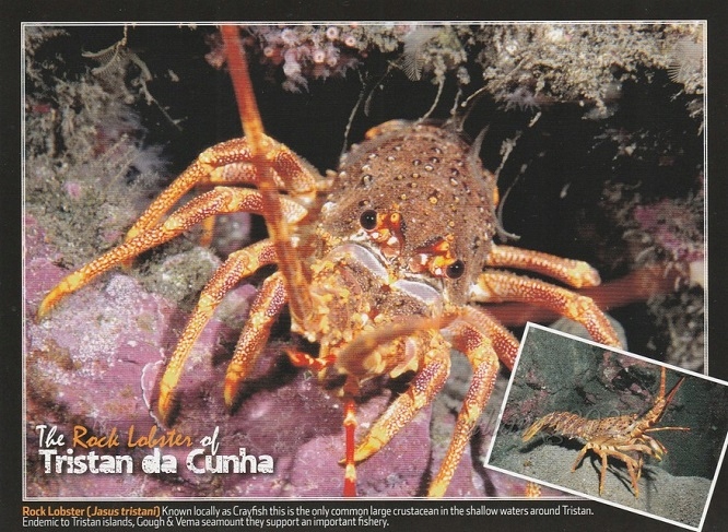 TRISTAN DA CUNHa ( British Overseas Territories )