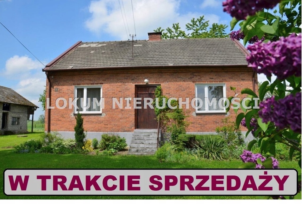 Dom, Szczucin, Szczucin (gm.), 110 m²