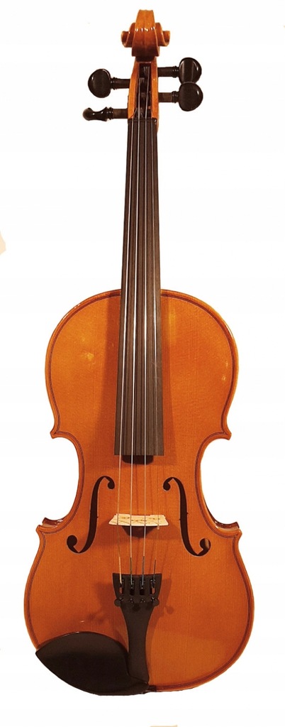 Strunal Talent Ravenna 920A - czeskie skrzypce