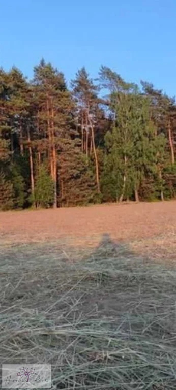 Działka, Huta Bardzyńska, 1200 m²