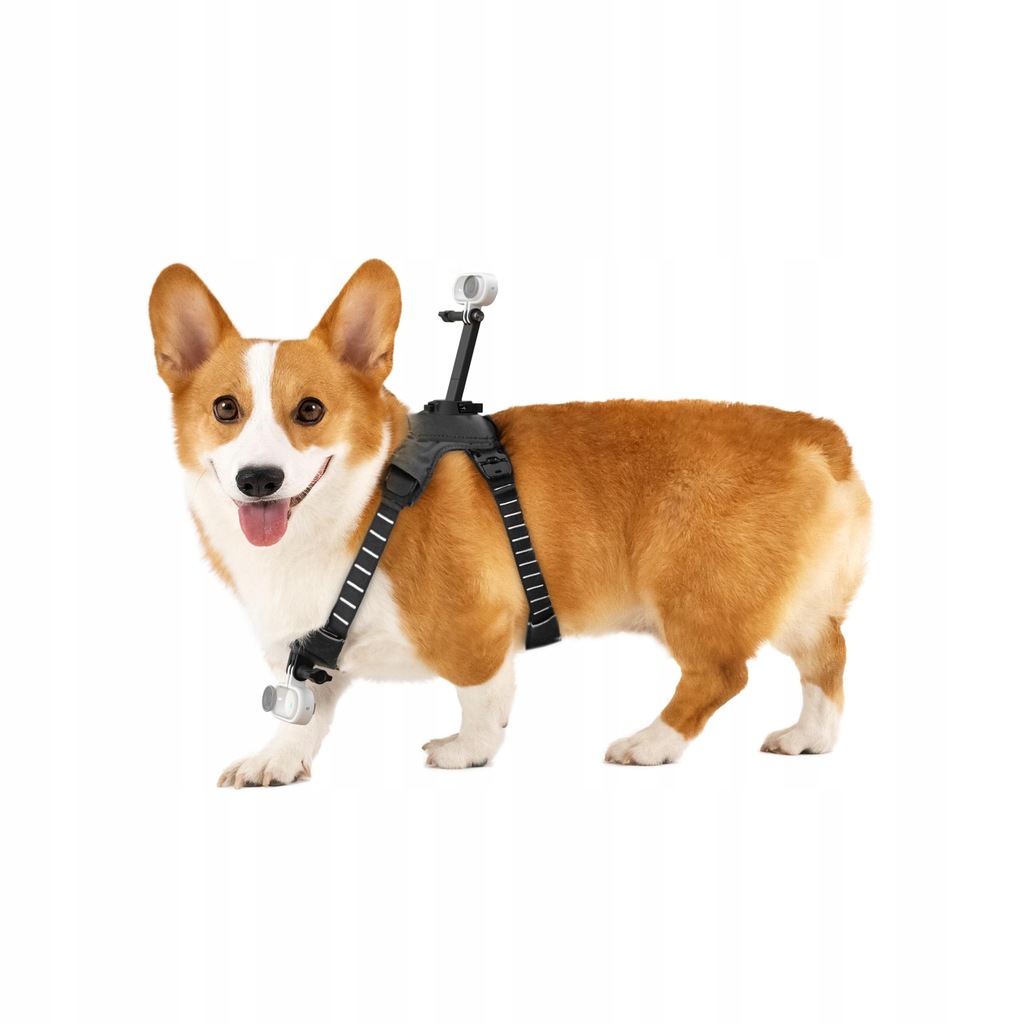 Insta360 - Go 3/GO 3S Pet Harness Mount Size S