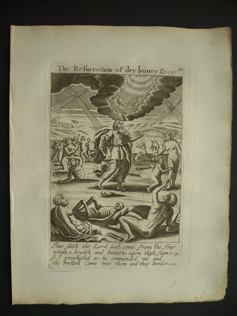 S. Stradus, Noc żywych trupów, oryg. 1629