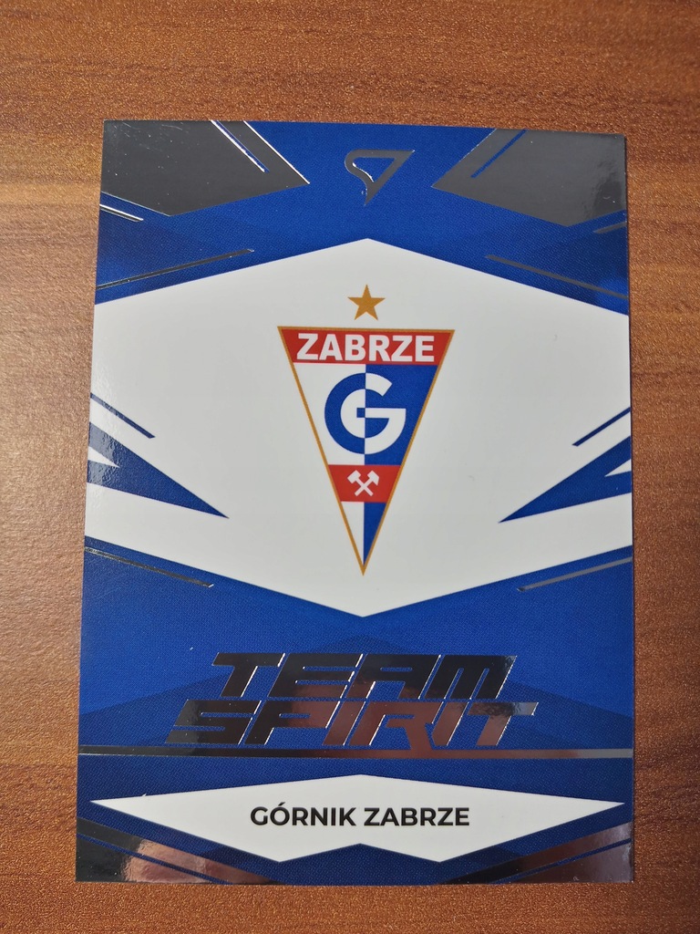 SportZoo Ekstraklasa 2023/24 Team Spirit Górnik Zabrze