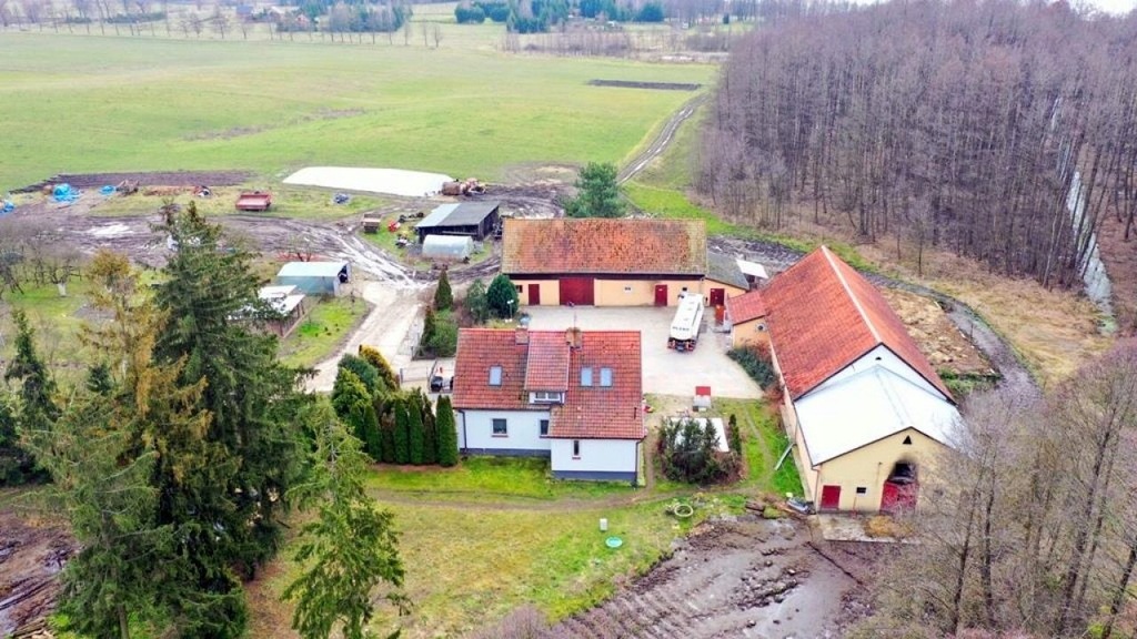 Komercyjne, Stręgiel, Węgorzewo (gm.), 217 m²