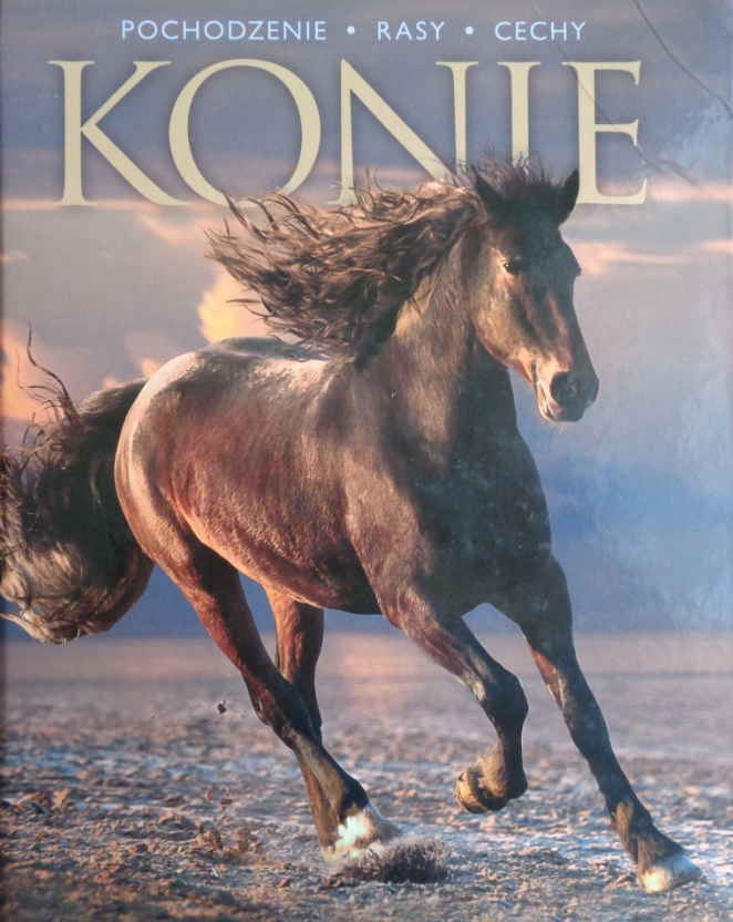 Konie