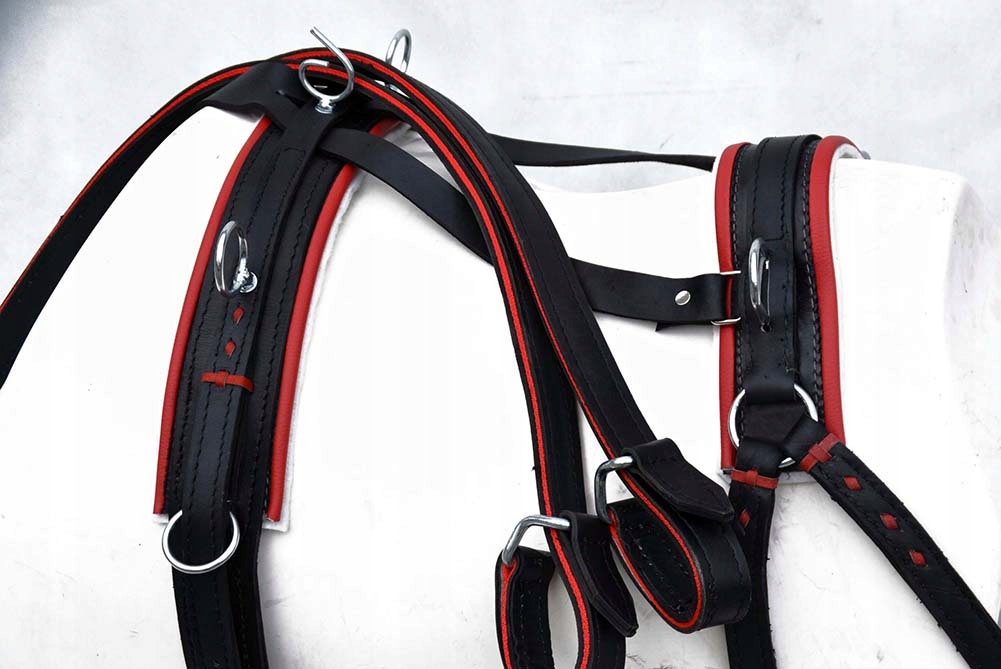 UPRZĄŻ NA ZIMNOKRWISTEGO RĘCZNA ROBOTA