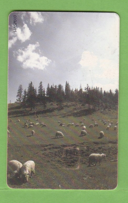 Купить РУМЫНИЯ пейзаж фауна овцы: отзывы, фото, характеристики в интерне-магазине Aredi.ru