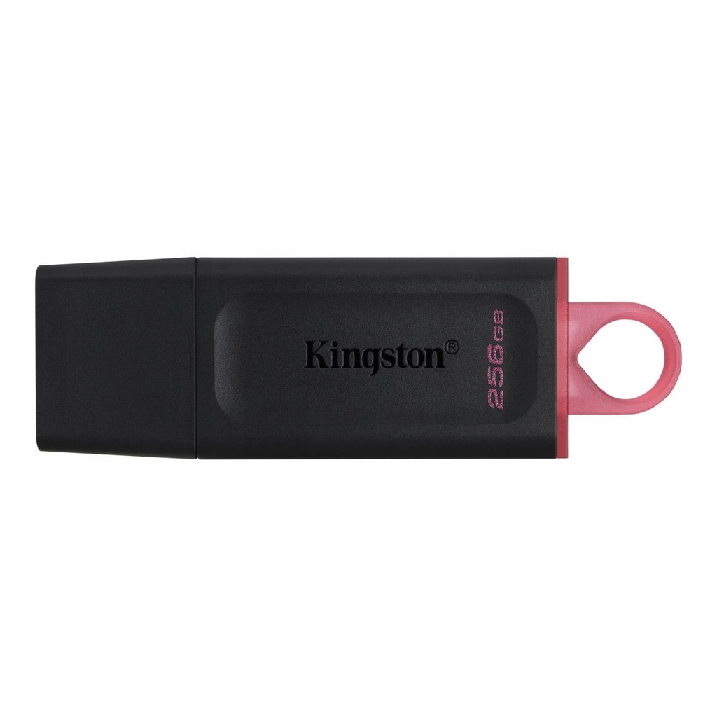 Kingston USB Flash Drive DataTraveler Exodia 256 G