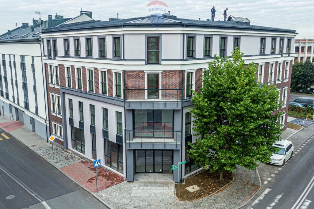 Biuro, Cieszyn, Cieszyński (pow.), 113 m²