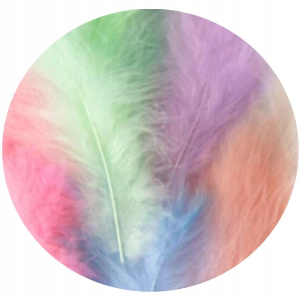 PIÓRKA dekoracyjne KONFETTI długie KOLOROWE x50